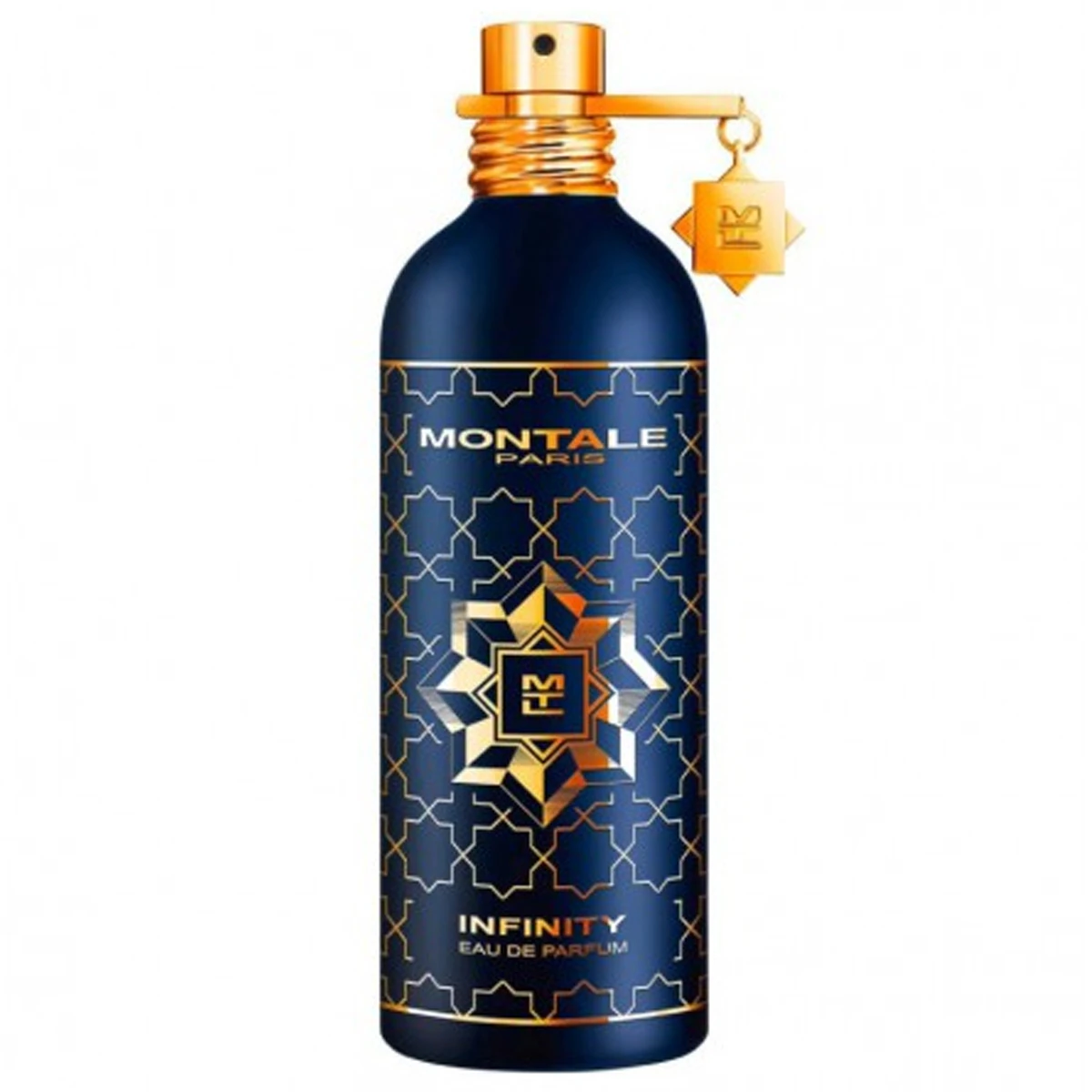 Montale Paris Infinity EDP 100 ml