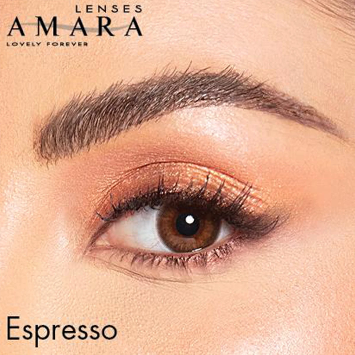 Amara Plano Contact Lenses Monthly Espresso