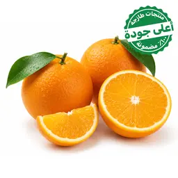 Orange Valencia Juice1 kg approximately