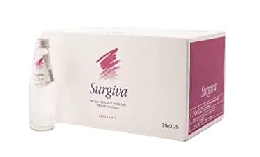Surgiva Natural Mineral Sparkling  Italian Water   24 pcs Glass 250 ml  - view 1