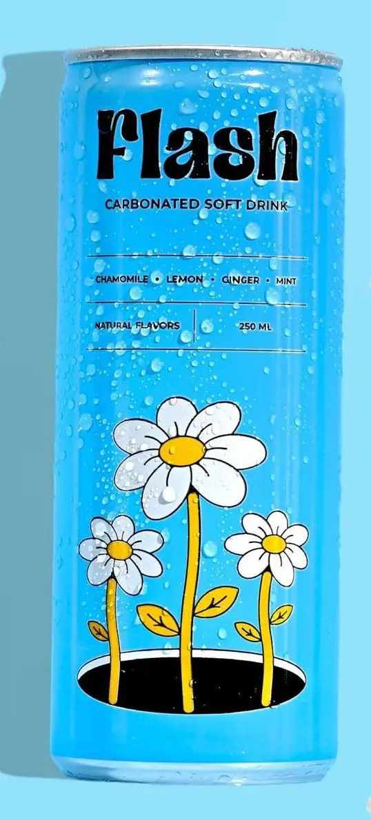 Flash Natural Carbonated Soft Drink of Chamomile, Ginger, Lemon and Mint 250 ml - view 4