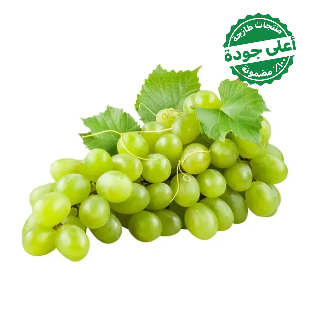 Green Grapes Seedless 500 gm approximately - view 1