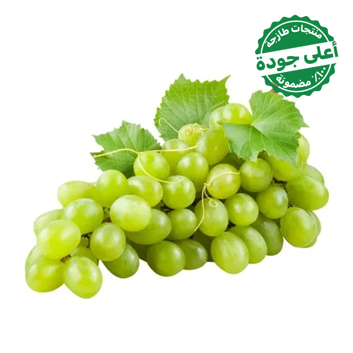 Green Grapes Seedless 500 gm approximately