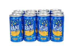 Rani Float Mango Fruit Drink 180MIX12