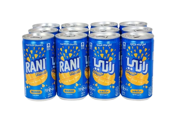 Rani Float Mango Fruit Drink 180MIX12
