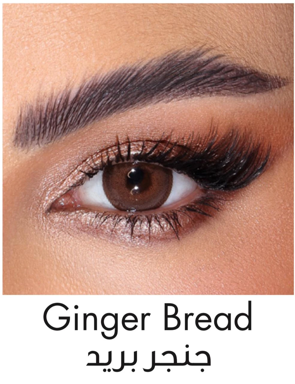 Amara Lenses Plano Ginger Bread 