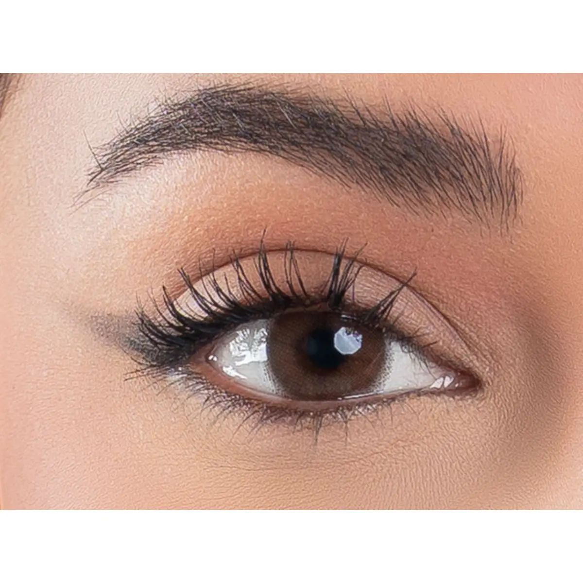 Fresh Eyes Lava Daily Contact Lenses - view 1