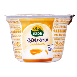 Nada Greek Yoghurt With Natural Honey 11 gm Protein 160 gm