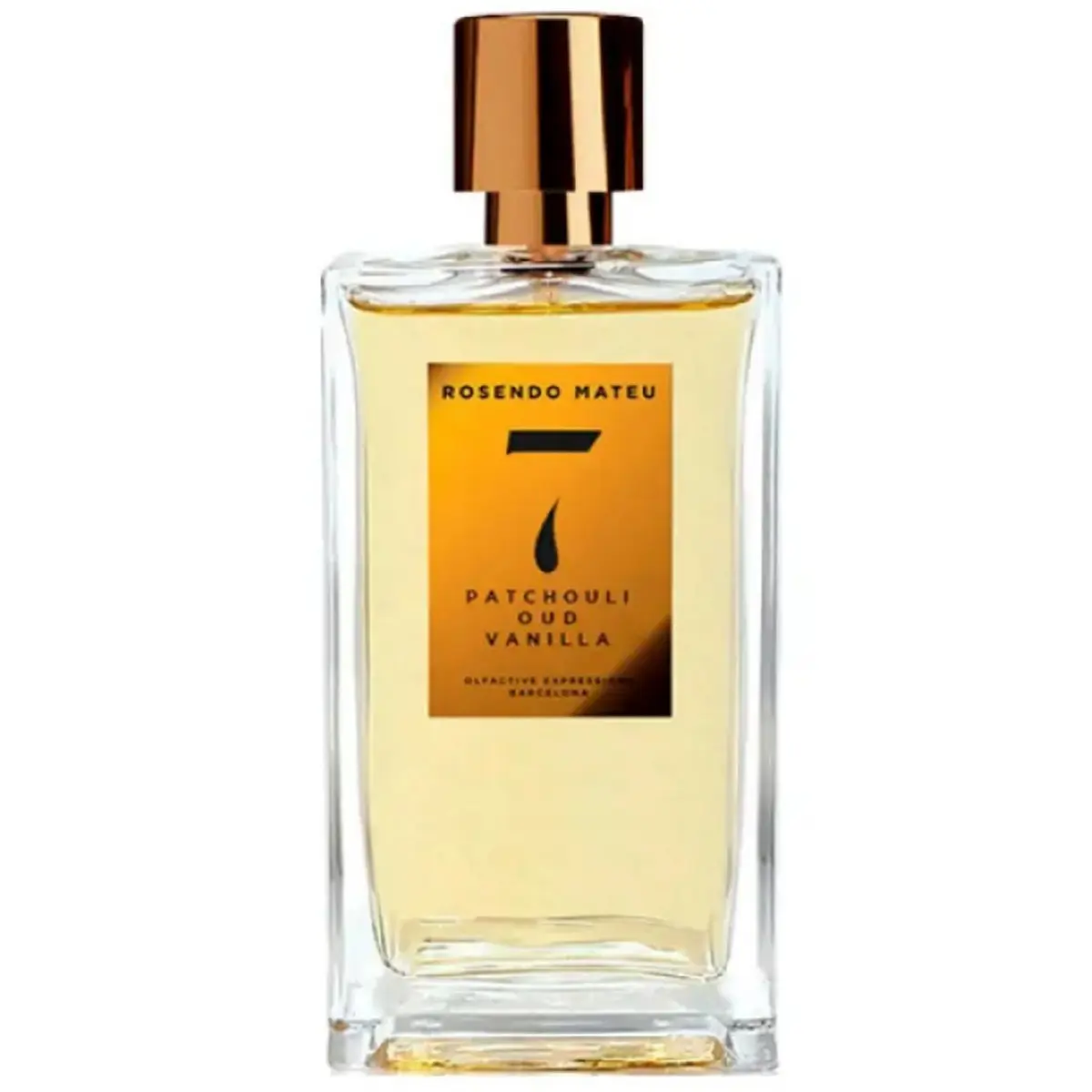 Rosendo Mateu Nº 7 Patchouli Oud Vanilla Unisex EDP 100 ml - view 1