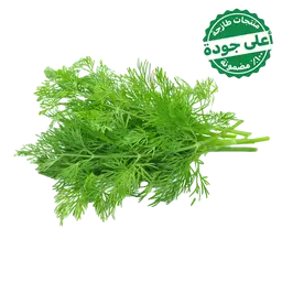 Dill Local 1 Bundle 