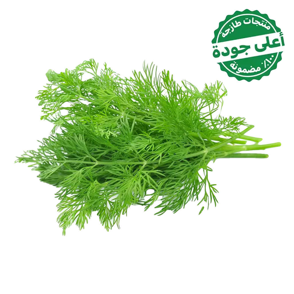 Dill Local 1 Bundle  - view 1