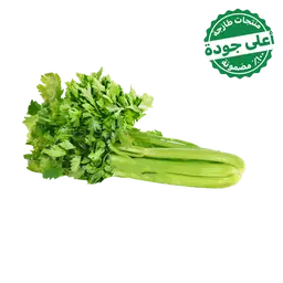 Celery Local 1 Bundel approximately