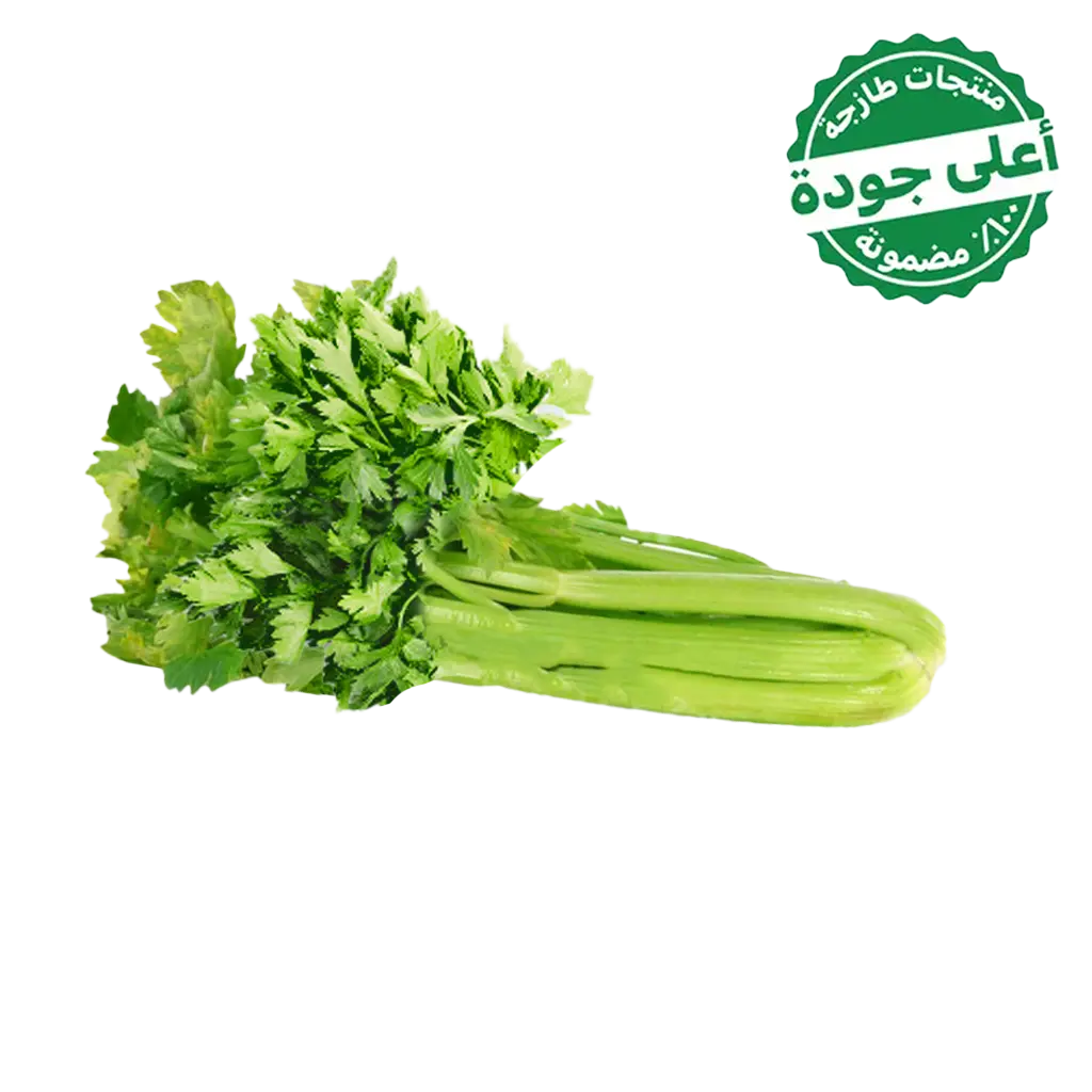 Celery Local 1 Bundel approximately - view 1