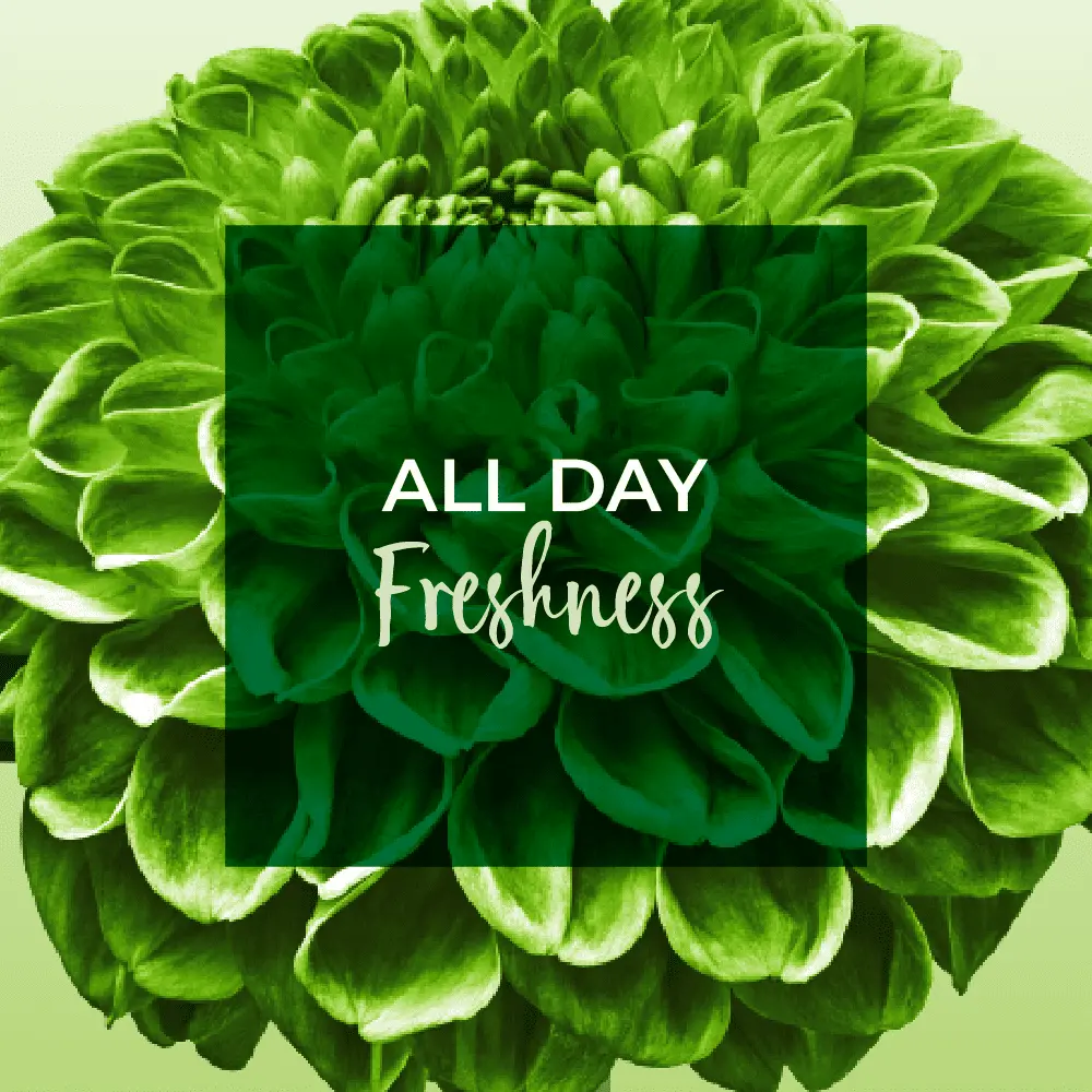 Freshdays Daily Liners Normal 72 Pads - view 6