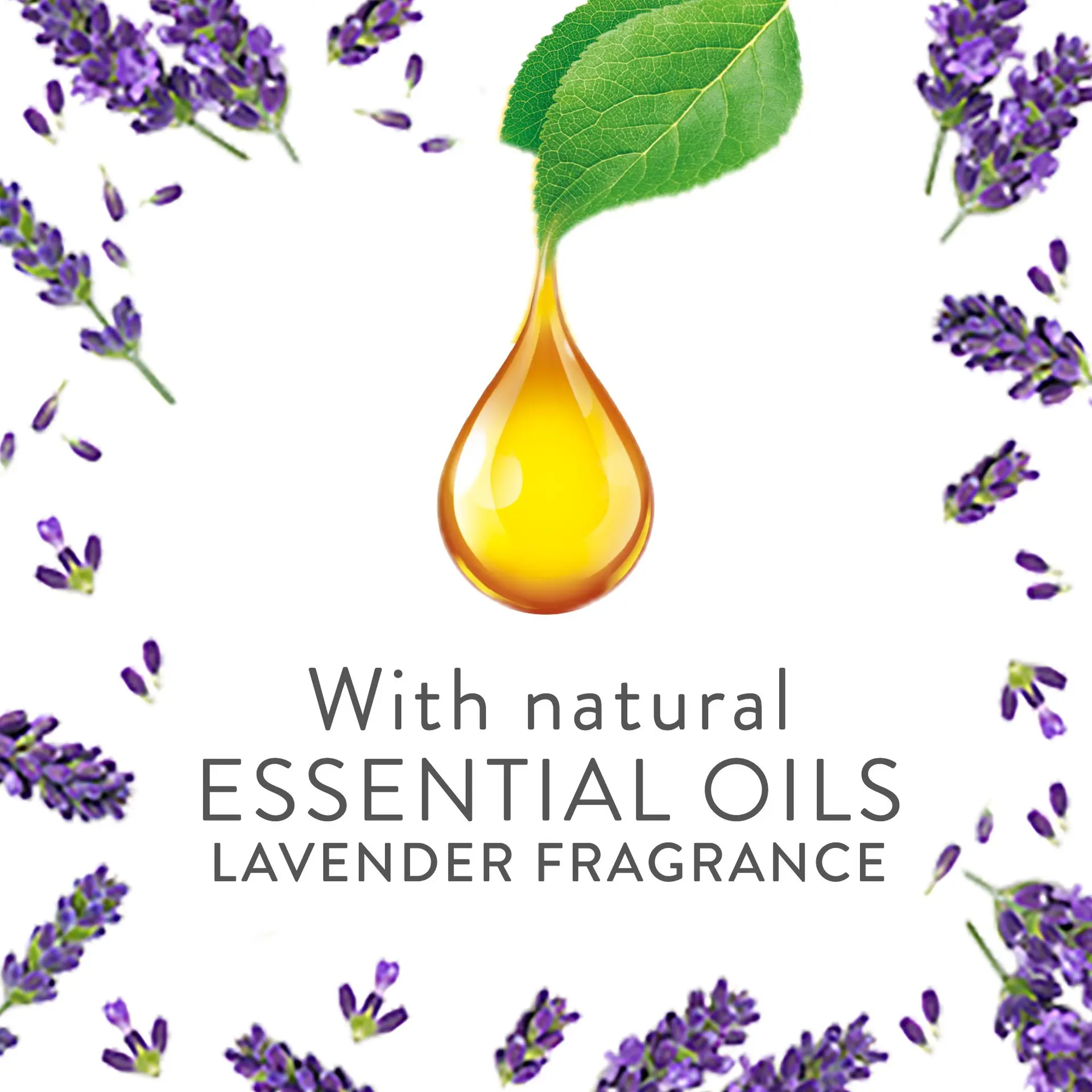 Air Wick Diffuser Refill Lavender Fragrance 19 ml - view 6