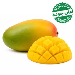 مانجو قلب الثور يمني 1 كجم تقريبًا