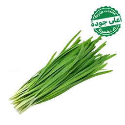 Leek Local 1 Bundle 