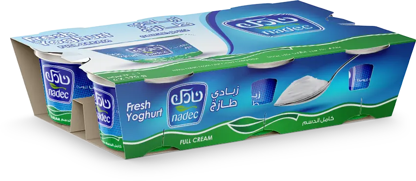 Nadec Fresh Yoghurt Full Fat 170GmX6 - view 2
