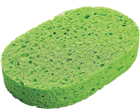 Lionesse Antibac Natural Bath Sponge