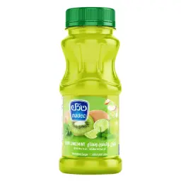 Nadec Nectar Kiwi Lime Mint 180 Ml