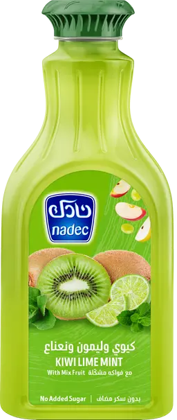 Nadec Nectar Kiwi Lime Mint 1.3 Ltr