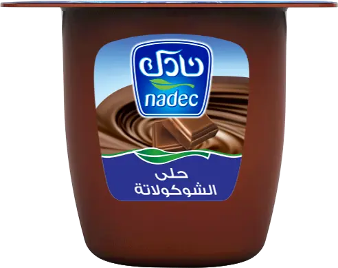 Nadec Chocolate Dessert 75 gm - view 1