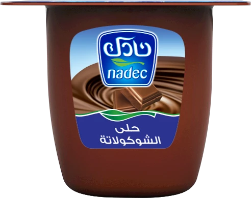 Nadec Chocolate Dessert 75 gm