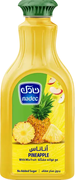 Nadec Nectar Pineapple 1.3 Ltr