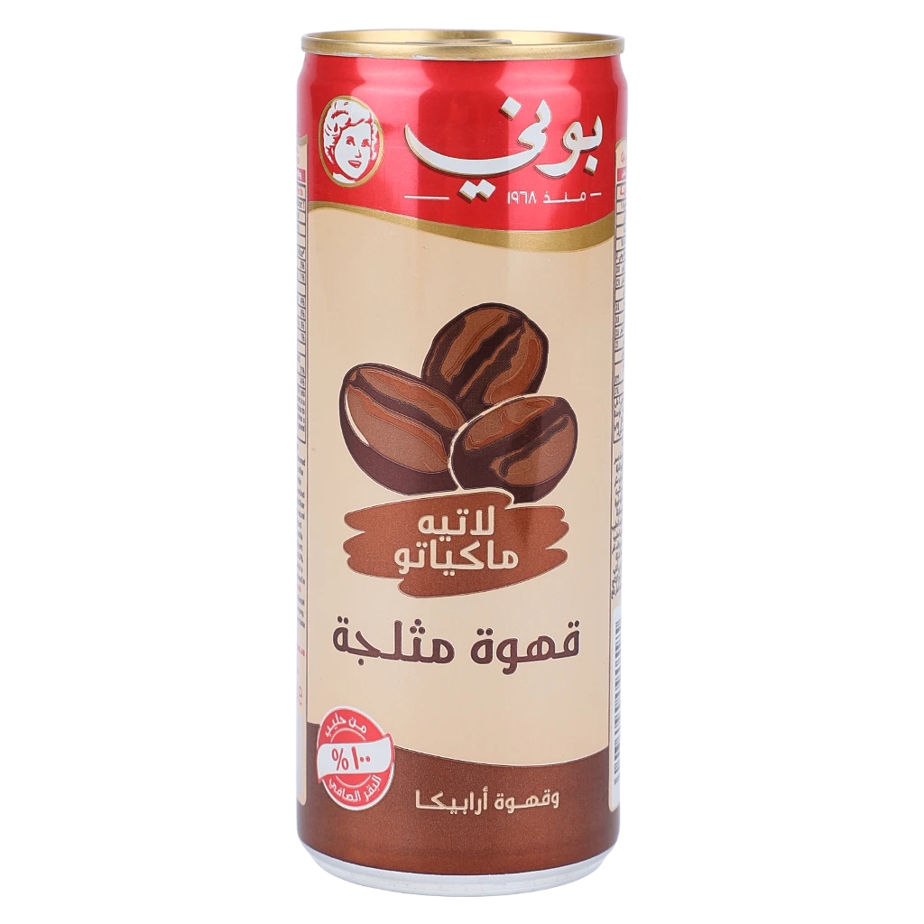 Bonny Ice Coffee Latte Macchiato 250 ml