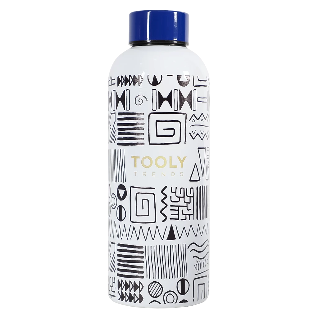 Tooly Stainless Steel Water Bottle White Color  500 ml