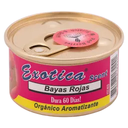 Exotica Air Car Freshener Dry Box Red Berries