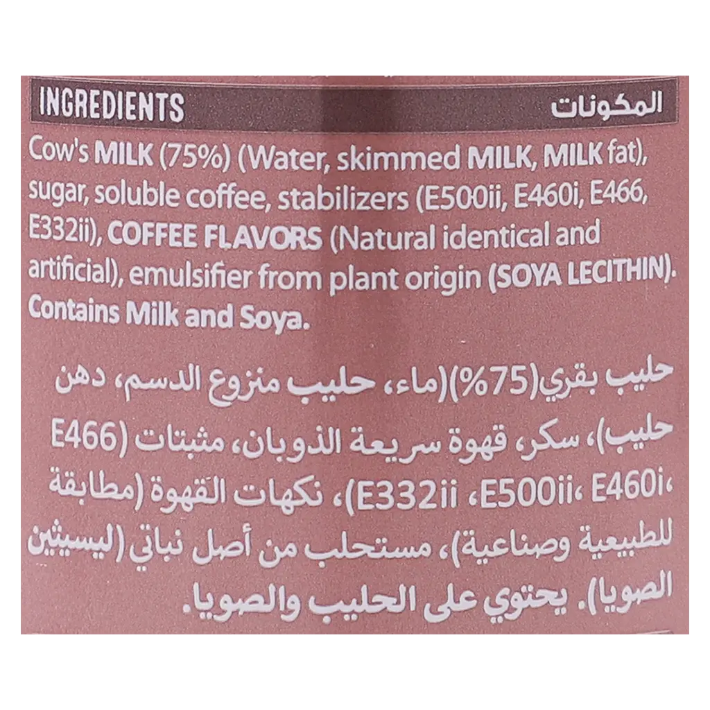 Nescafe Ice Coffee Cappucino 225 ml - view 4