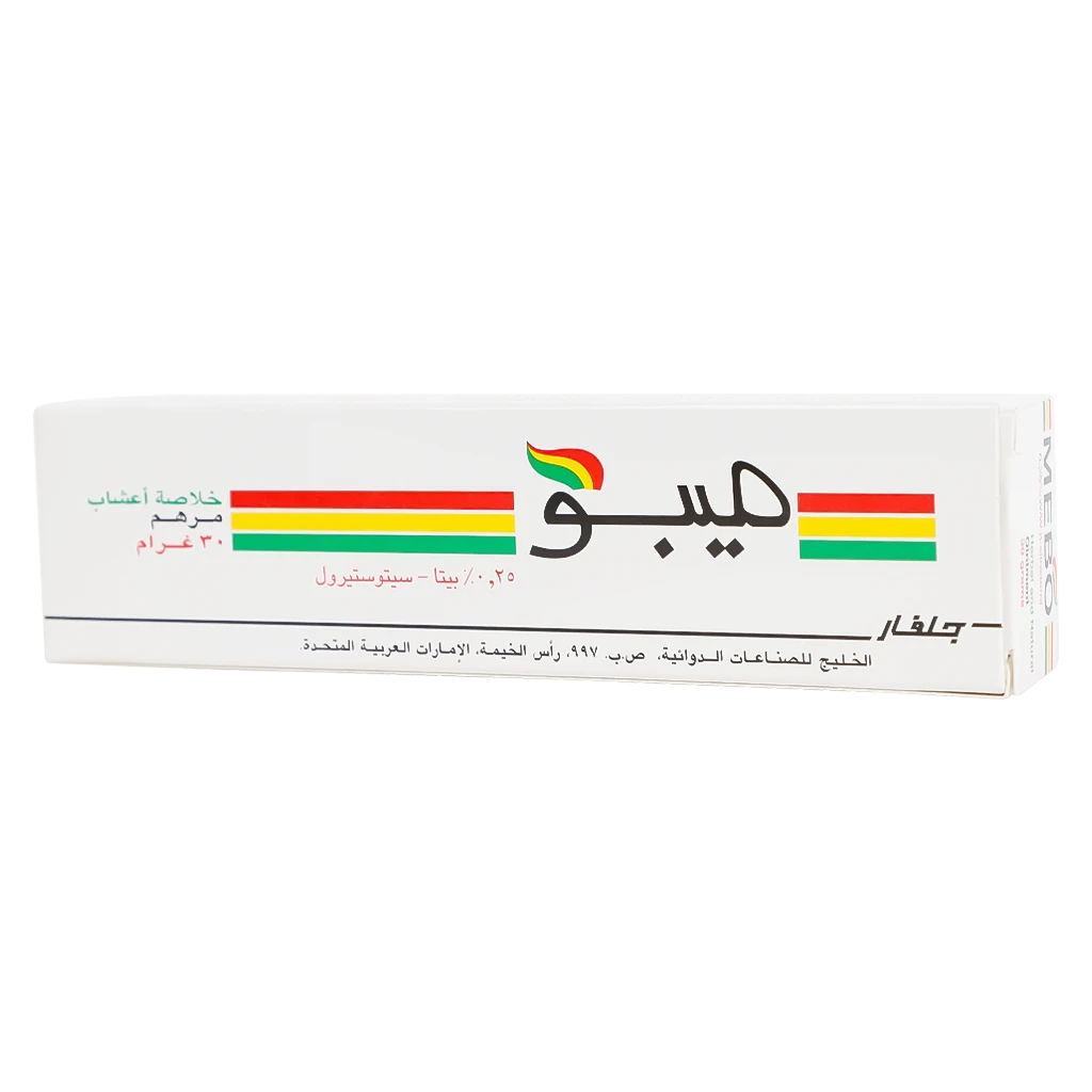 Mebo Ointment 30 gm
