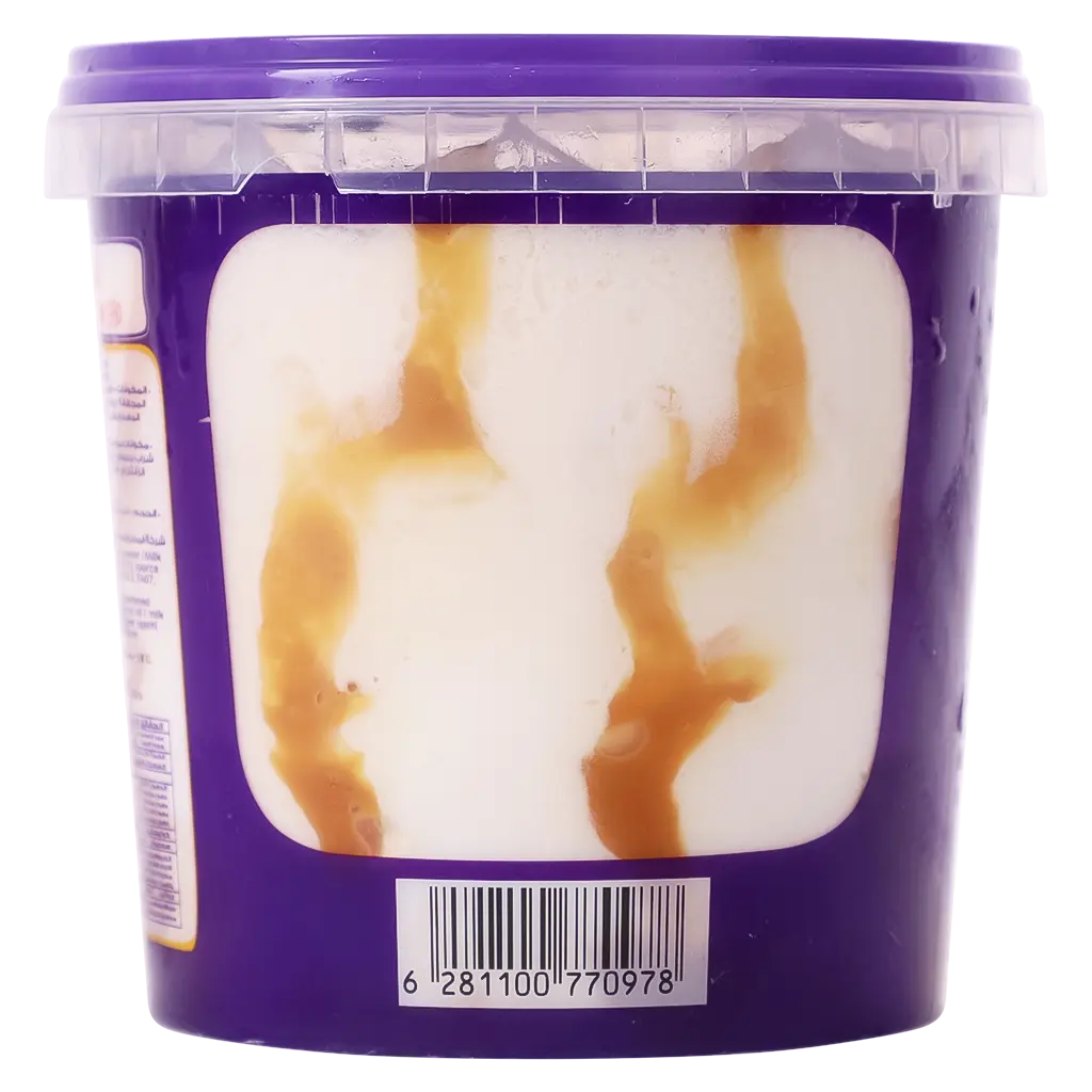 Kwality Ice Cream Karamel Ripple 1 L  - view 3