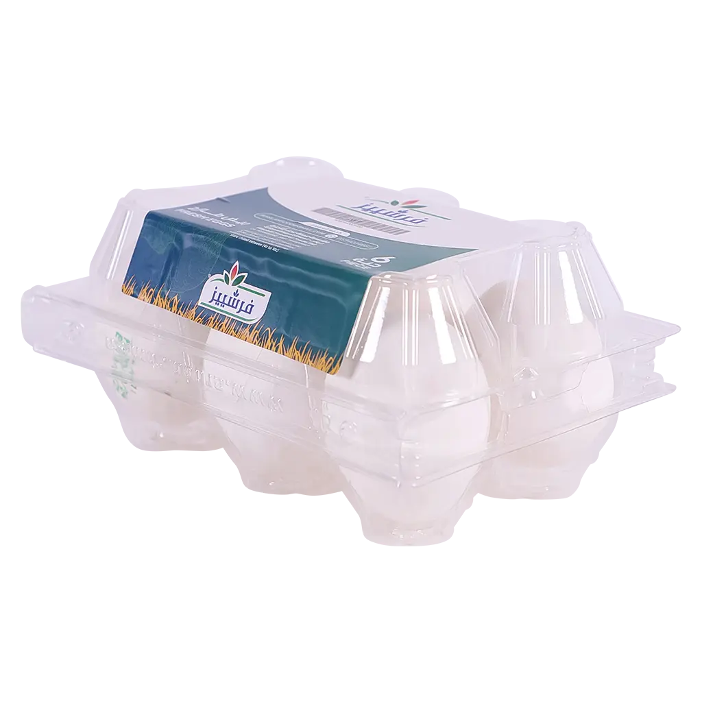 Freshies Large Eggs Tray 6 Pcs - view 3
