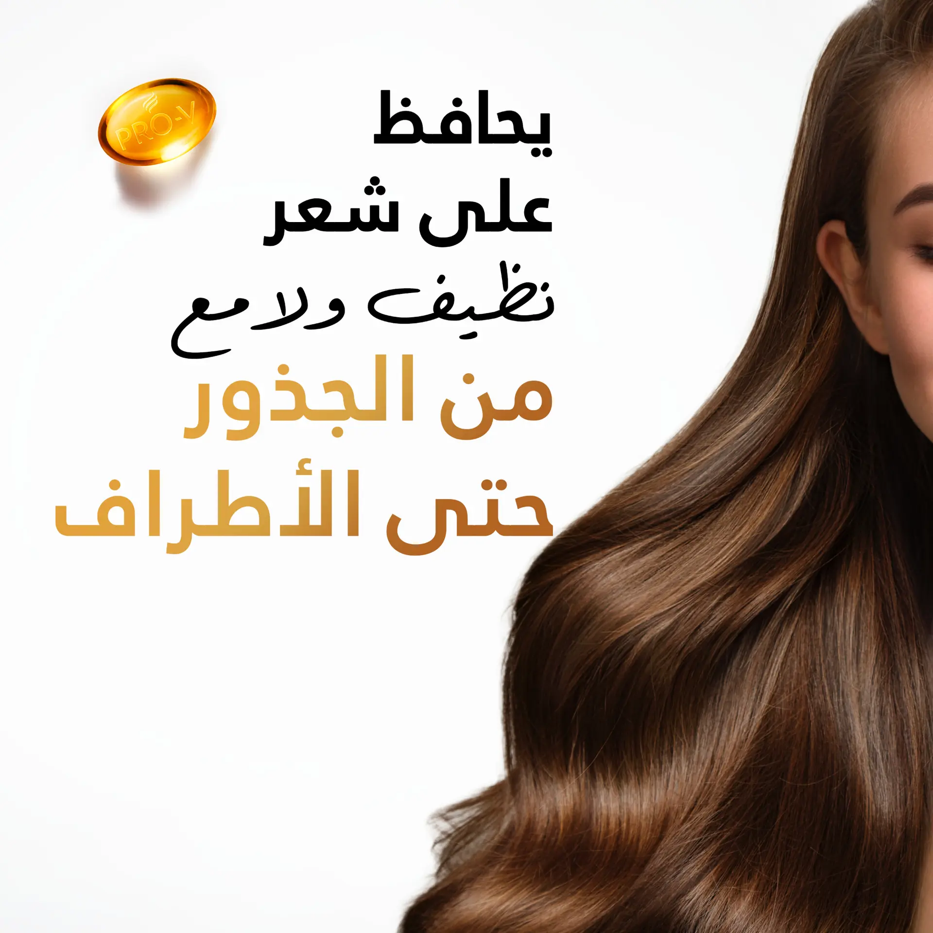 Pantene Shampoo 2 In 1 Classic Care 400ML - view 2