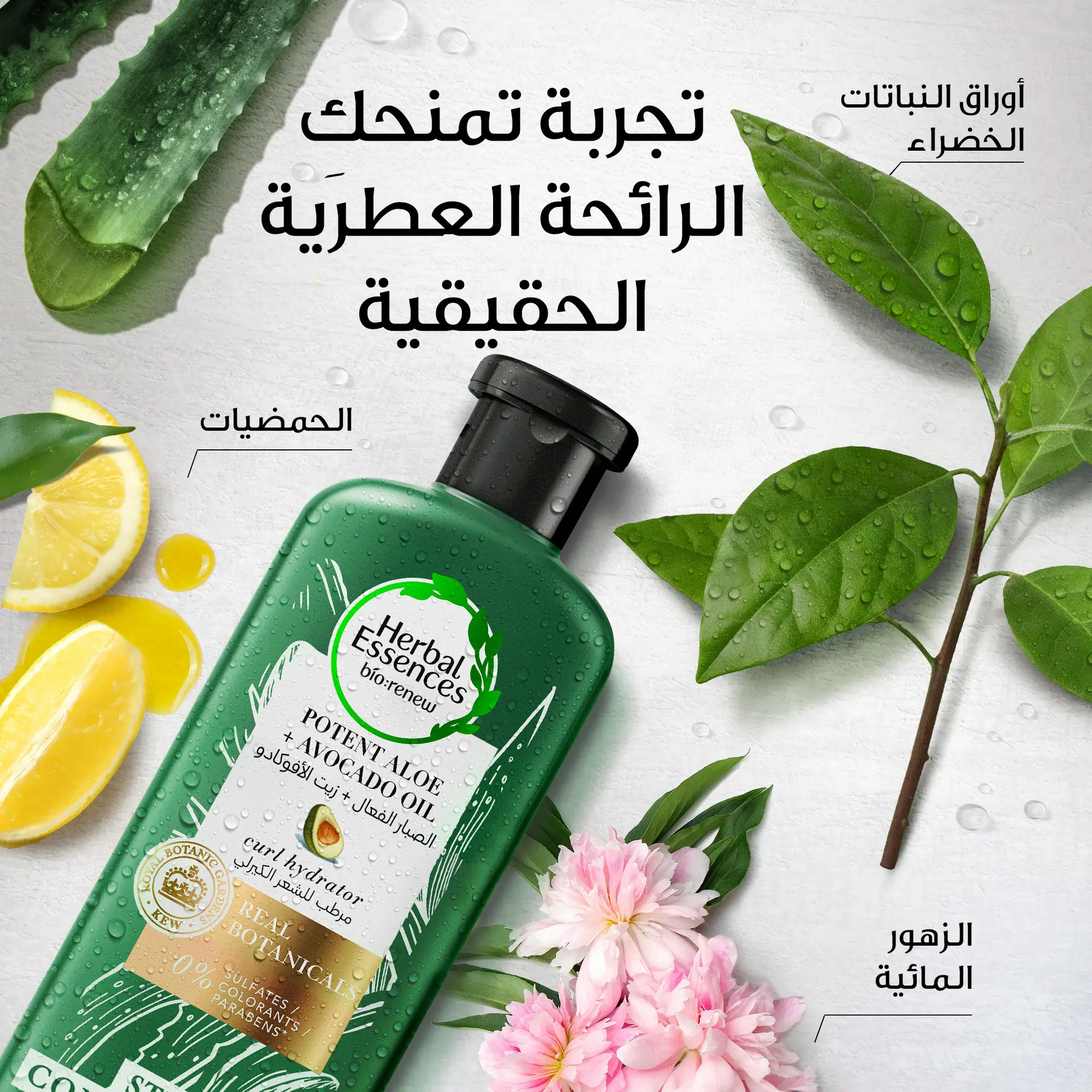 Herbal Essences Sulfate-Free Potent Aloe+Avocado Oil Hair Conditioner 400 ml - view 3