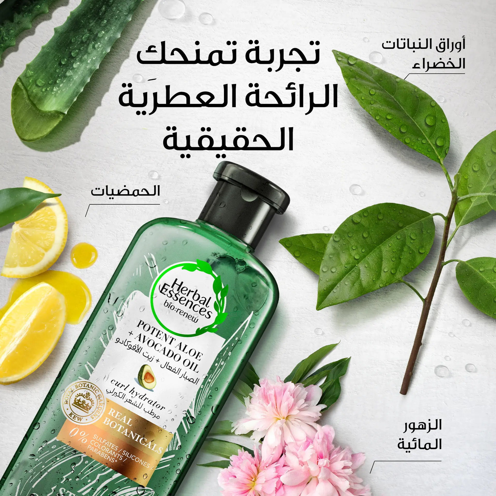 Herbal Essences Sulfate-Free Potent Aloe+Avocado Oil Hair Shampoo 400 ml - view 3