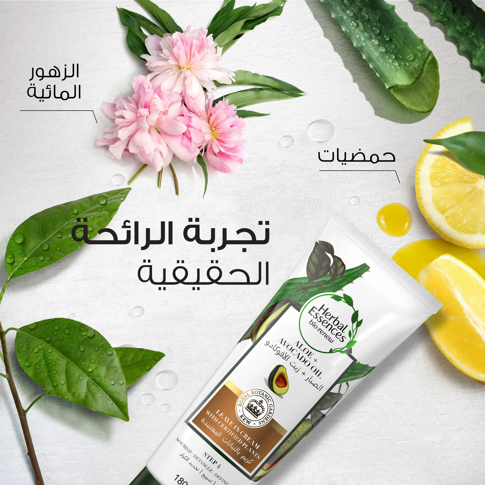 Herbal Essences Sulfate-Free Aloe+Avocado Oil 3-in-1 Plant Powered Leave-in Cream 180 ml - view 6
