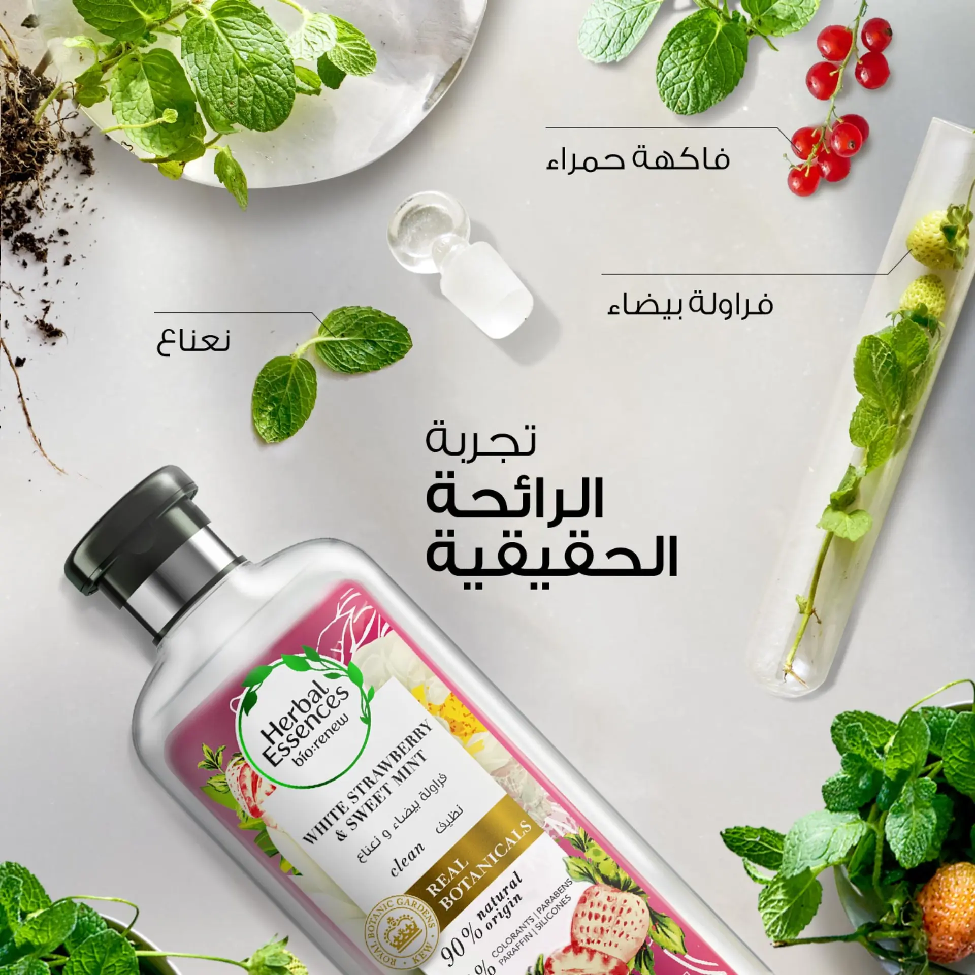 Herbal Essences Shampoo Clean White Strawberry And Sweet Mint 400ML - view 3