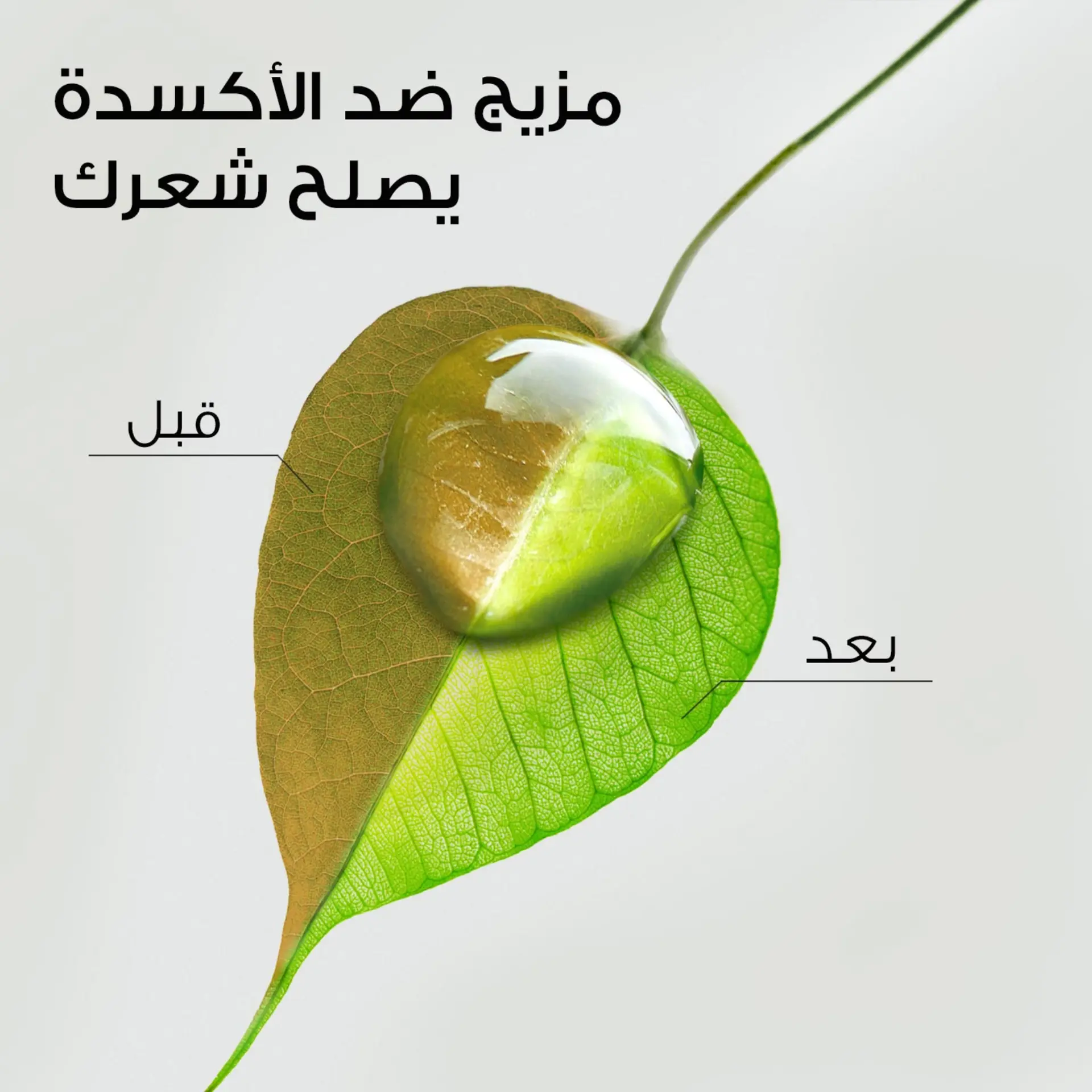 Herbal Essences Shampoo Volume Arabic Coffee Fruit 400ML - view 5