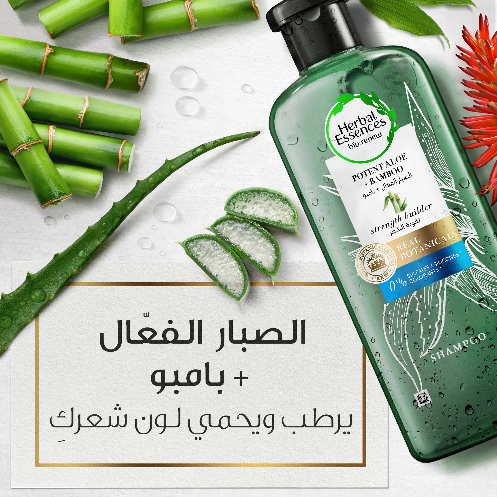 Herbal Essences Sulfate Free Potent Aloe Vera+Bamboo Natural Shampoo For Dry Hair 400ml - view 2