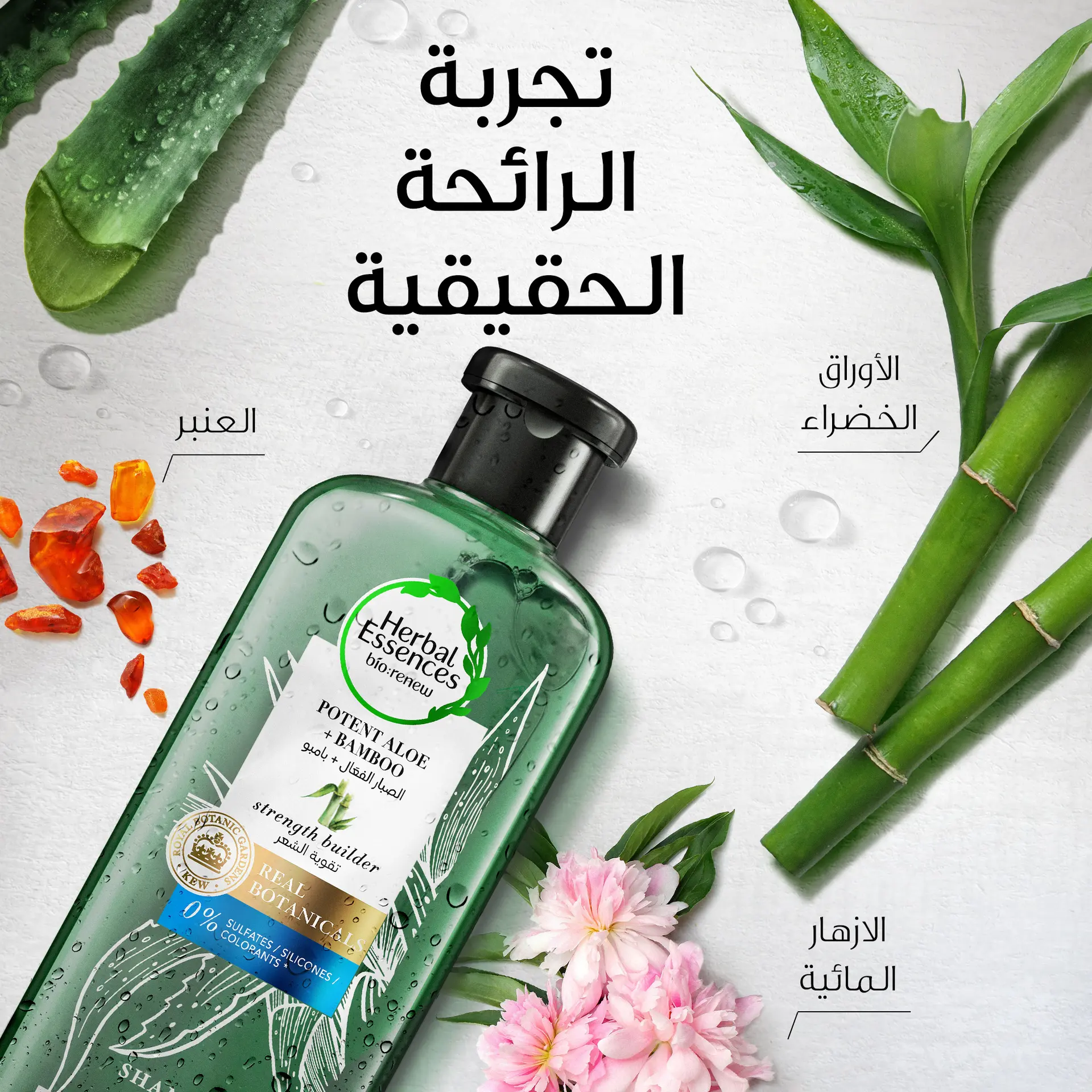 Herbal Essences Sulfate Free Potent Aloe Vera+Bamboo Natural Shampoo For Dry Hair 400ml - view 3