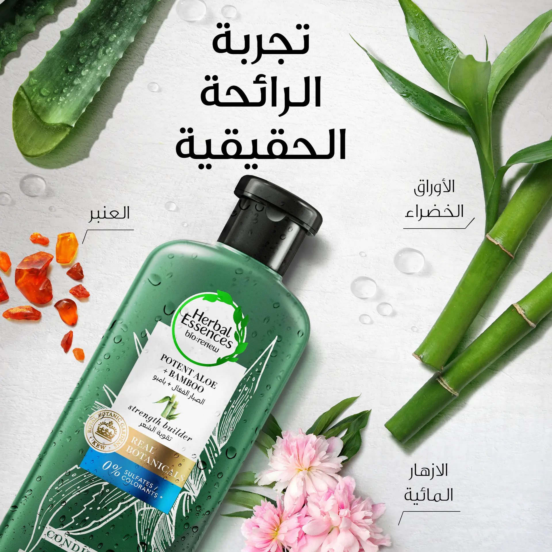 Herbal Essences Sulfate Free Potent Aloe Vera+Bamboo Natural Conditioner For Dry Hair 400ml - view 3