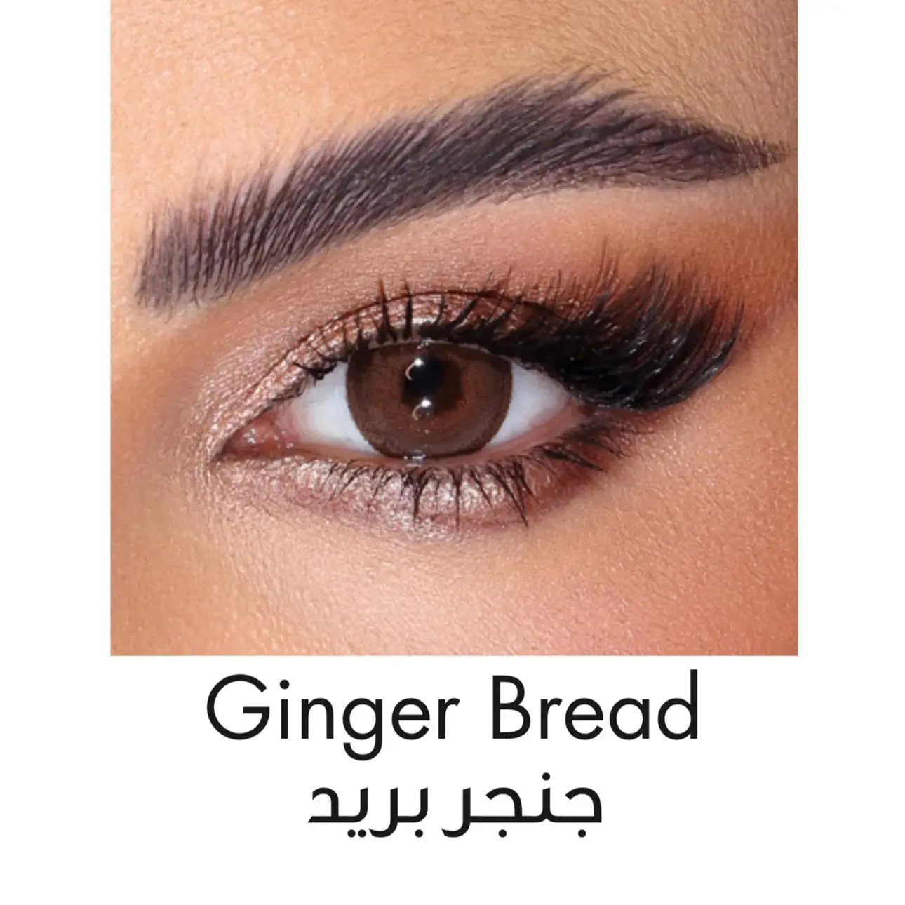 Amara Lenses Plano Ginger Bread  - view 2