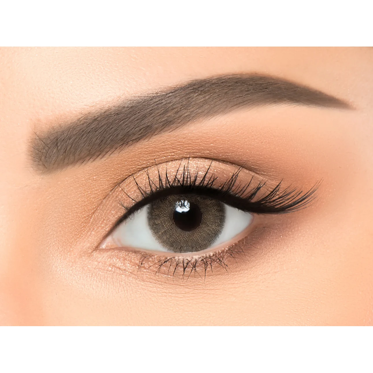  Newlens Contact Lenses Amber