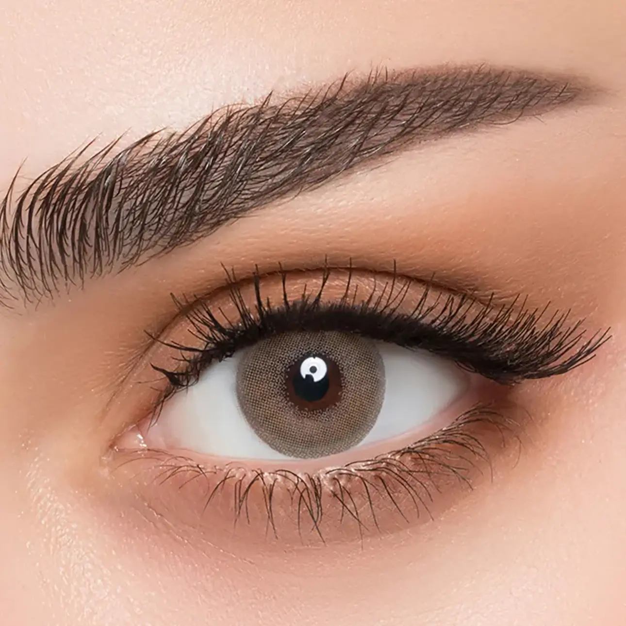 Afle Daily Contact Lenses Woody - view 1