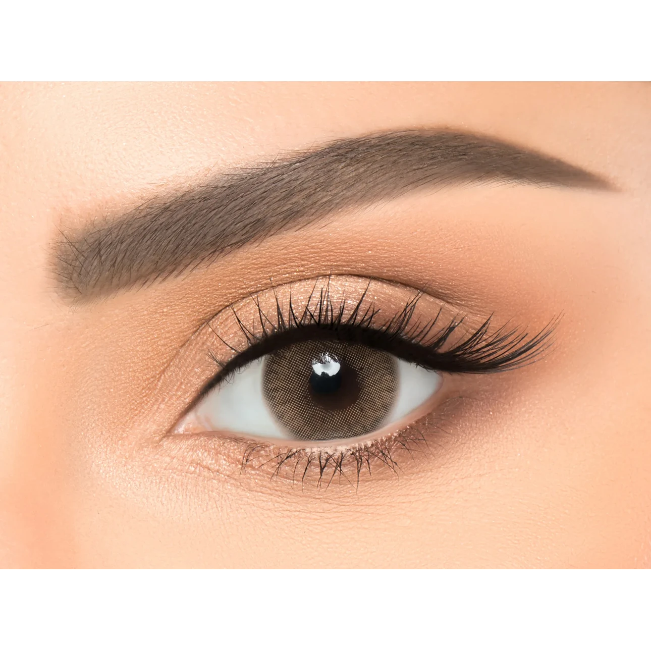 Newlens Contact Lenses Sol