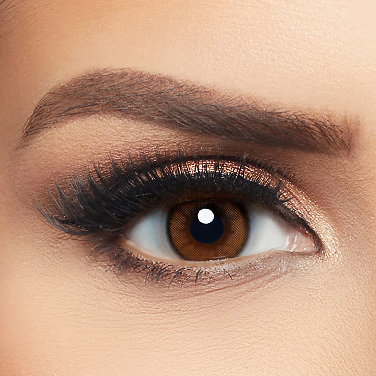 Layala Contact Lenses Sunkiss Brown