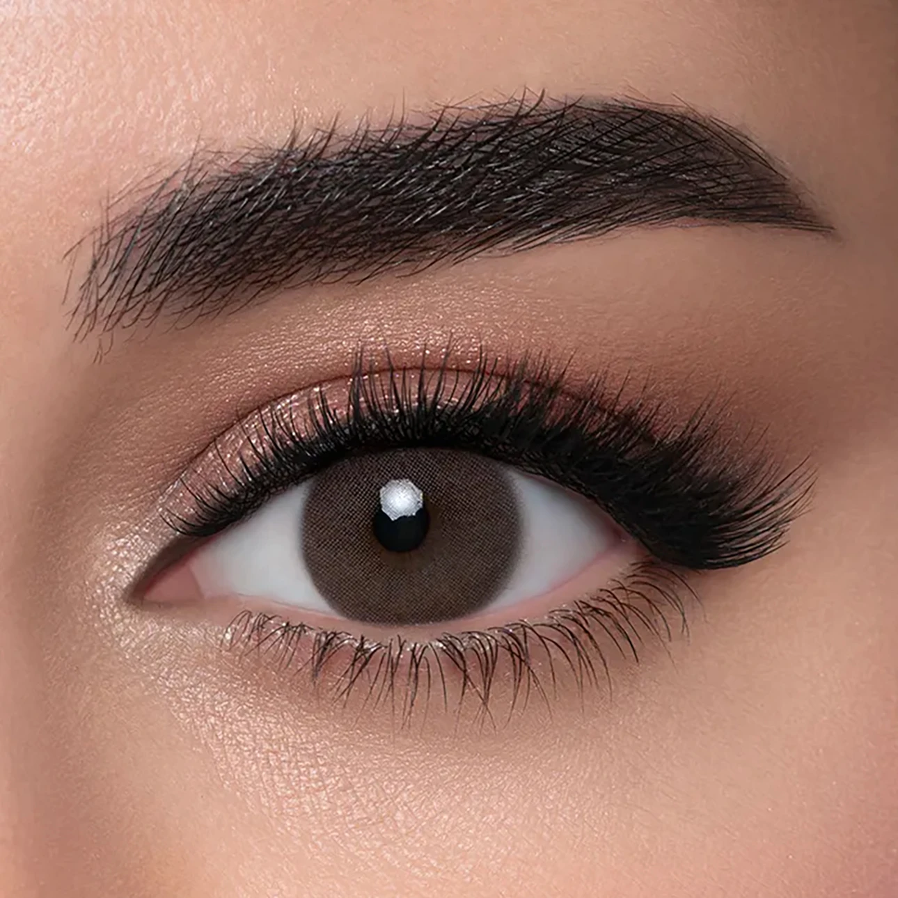 Lensme Contact Lenses Stone